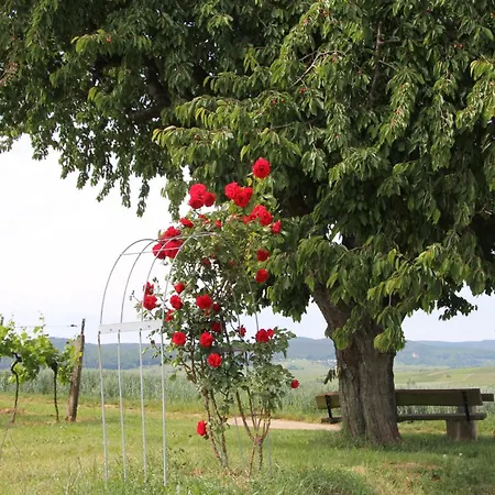 No.31 Im Rosengarten 4* Kapellen-Drusweiler