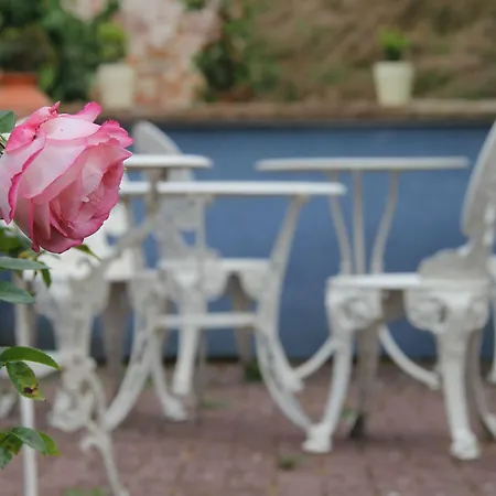 Pensión No.31 Im Rosengarten Kapellen-Drusweiler