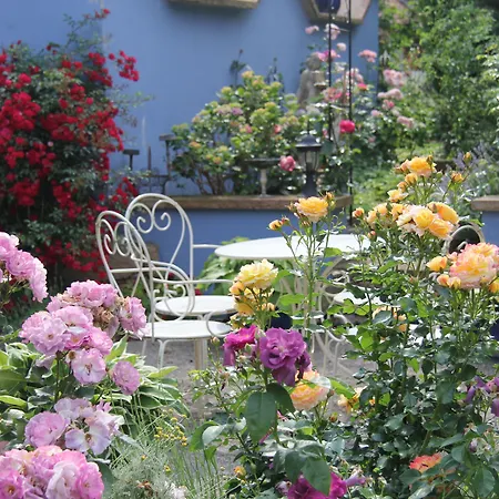 No.31 Im Rosengarten 4* Kapellen-Drusweiler