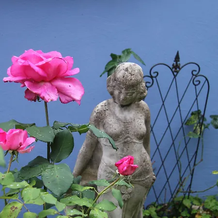 No.31 Im Rosengarten Pensión Kapellen-Drusweiler