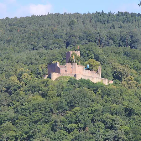 Pensión No.31 Im Rosengarten Kapellen-Drusweiler