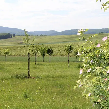 בית הארחה No.31 Im Rosengarten