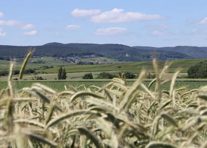 No.31 Im Rosengarten Гостевой дом