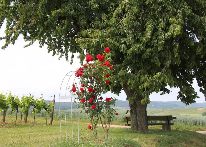 No.31 Im Rosengarten 4* Kapellen-Drusweiler