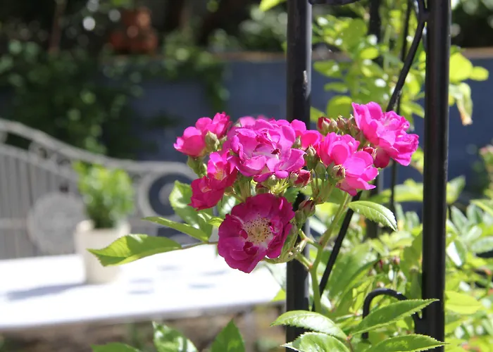 No.31 Im Rosengarten