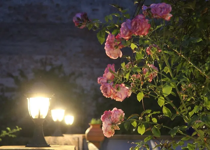 No.31 Im Rosengarten Kapellen-Drusweiler