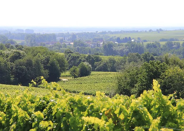 No.31 Im Rosengarten 4* Kapellen-Drusweiler