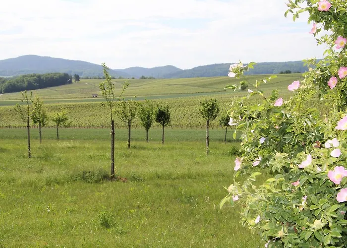 Гостевой дом No.31 Im Rosengarten